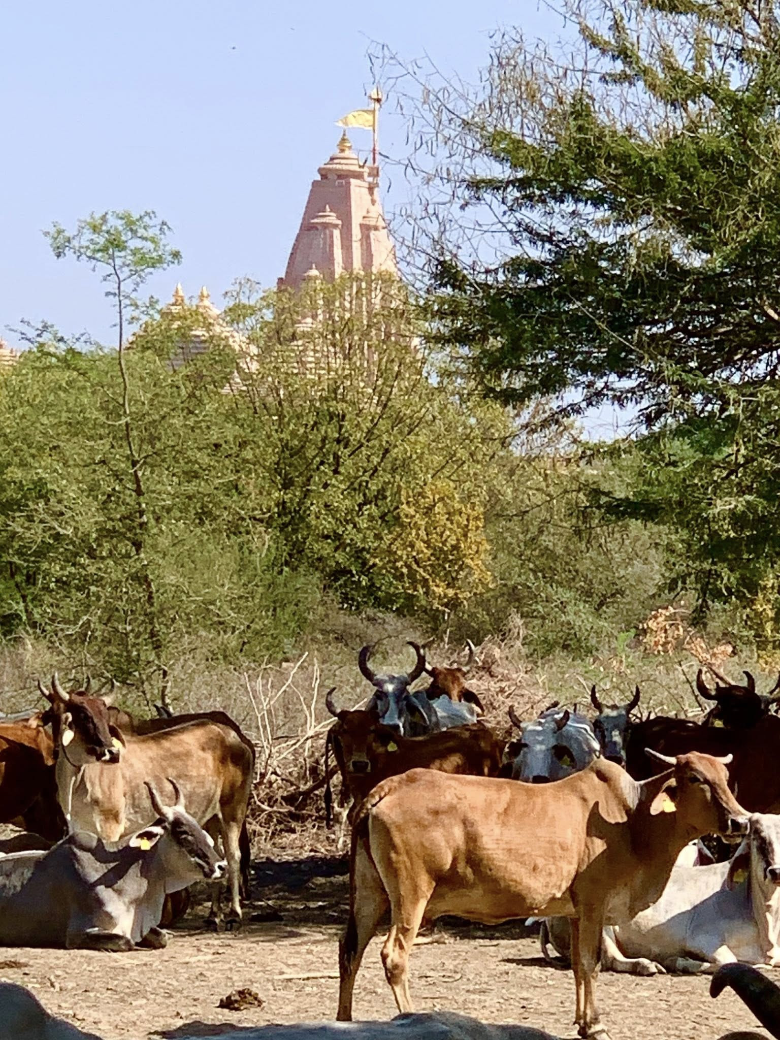 641249271 4236783079917776 6647852916168587741 n